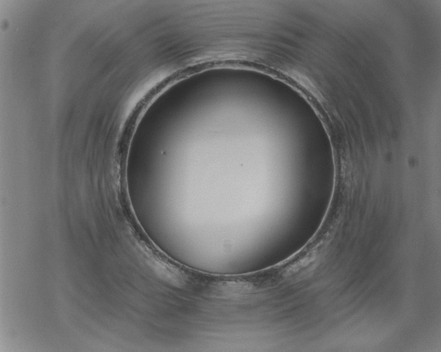 X0000068901119200605122053