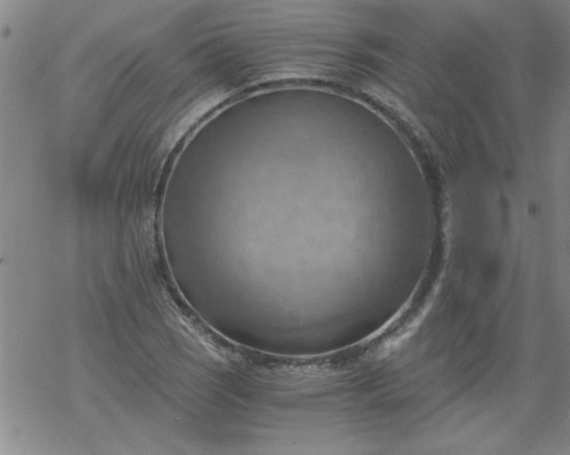 X0000068901121200605122053