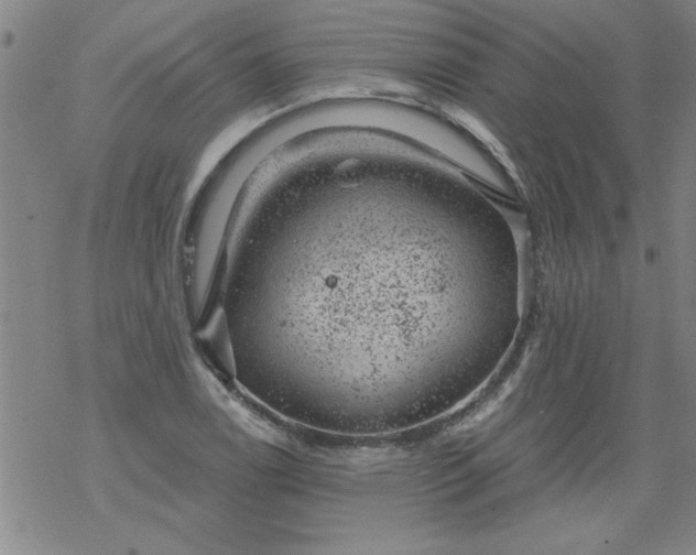 X0000068901122200605122053