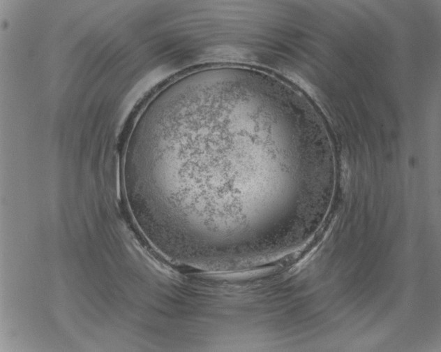 X0000068901123200605122053