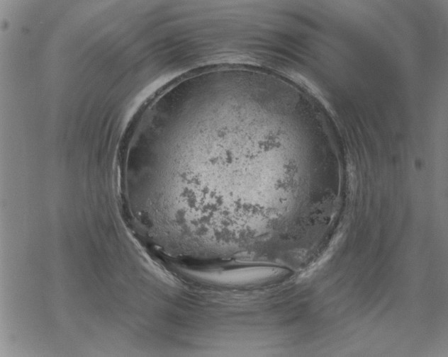 X0000068901125200605122053