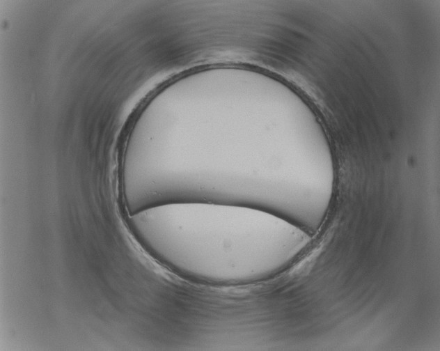 X0000068901126200605122053