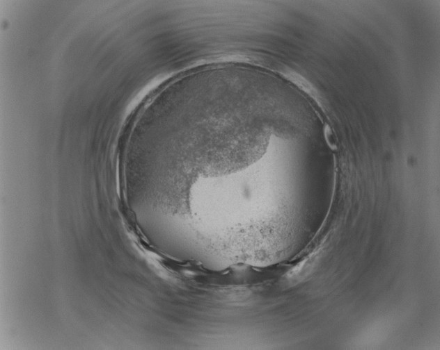 X0000068901127200605122053