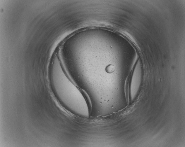 X0000068901128200605122053