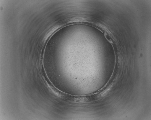 X0000068901129200605122053