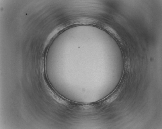 X0000068901130200605122053