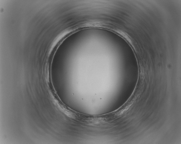 X0000068901131200605122053