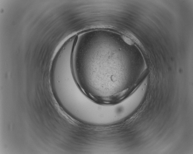 X0000068901132200605122053