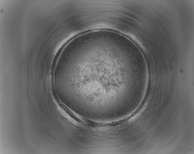 X0000068901134200605122053