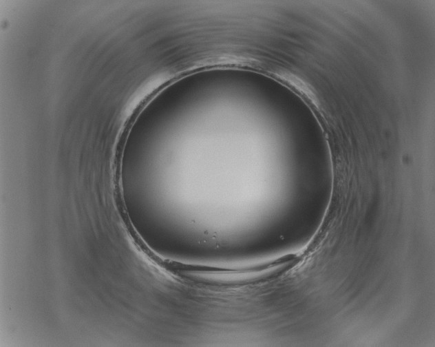 X0000068901135200605122053