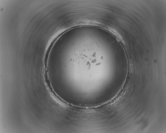 X0000068901136200605122053