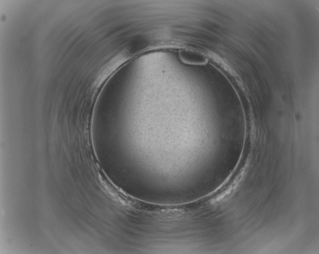 X0000068901137200605122053