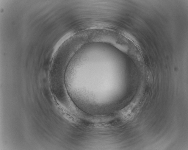 X0000068901138200605122053