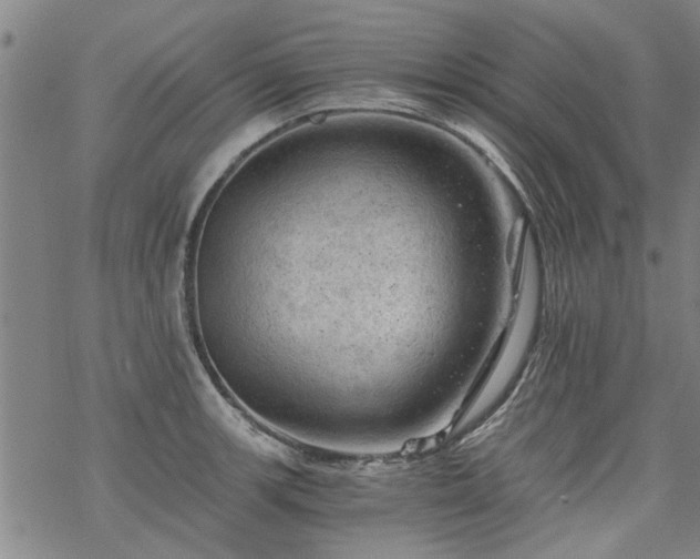 X0000068901139200605122053