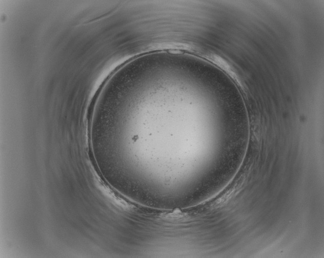 X0000068901140200605122053