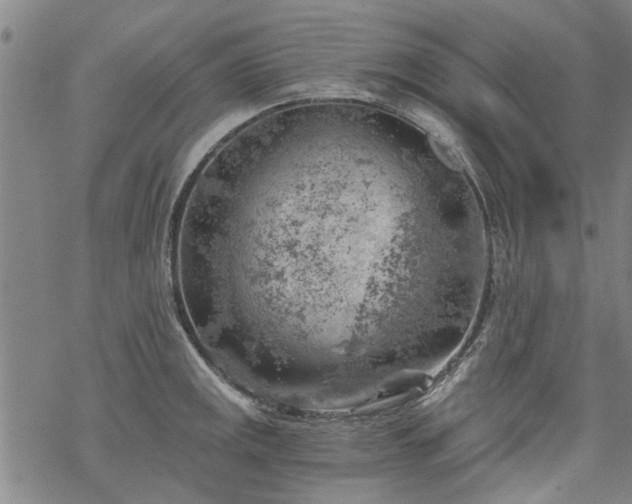 X0000068901141200605122053