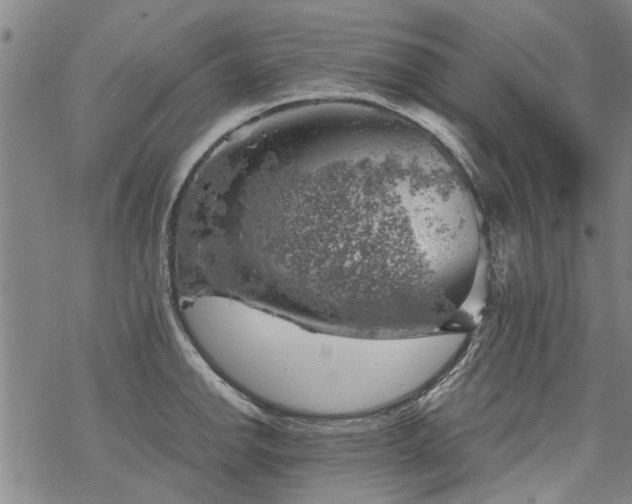 X0000068901142200605122053