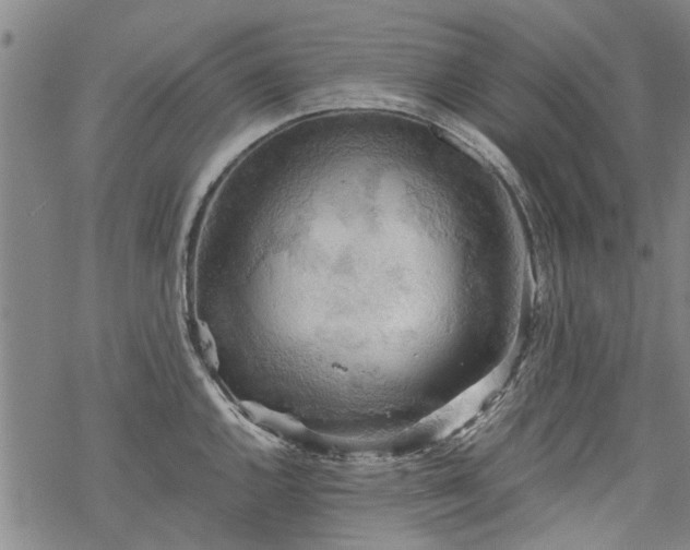 X0000068901144200605122053