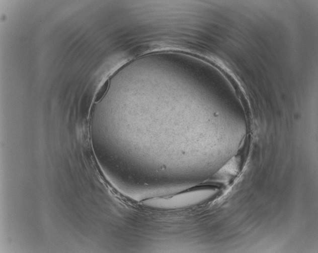 X0000068901145200605122053