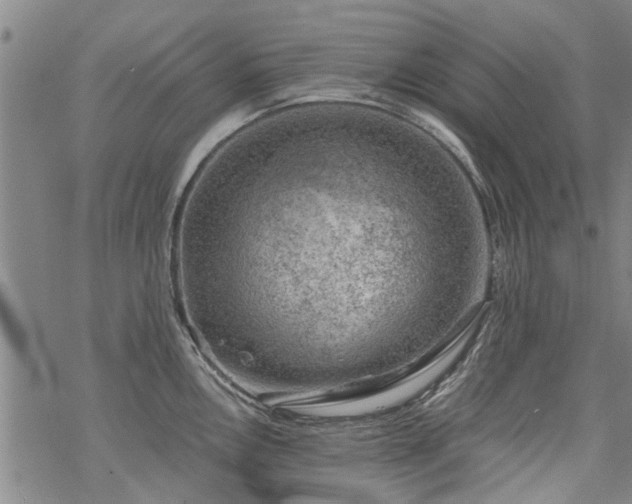 X0000068901146200605122053