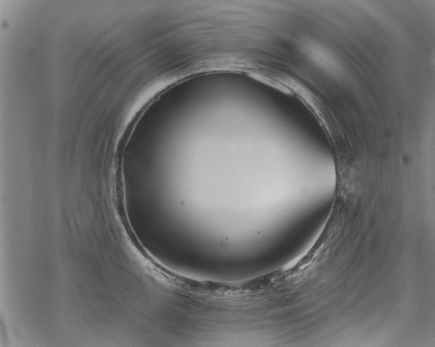 X0000068901147200605122053