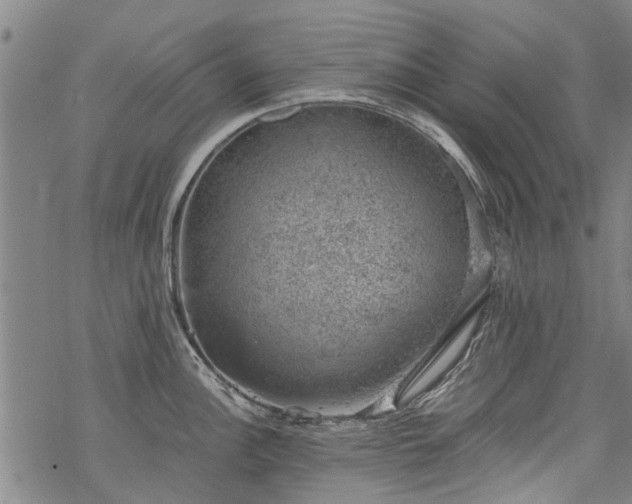 X0000068901148200605122053