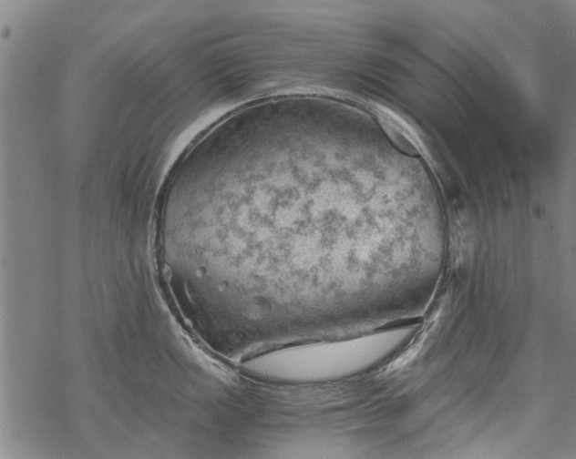 X0000068901149200605122053