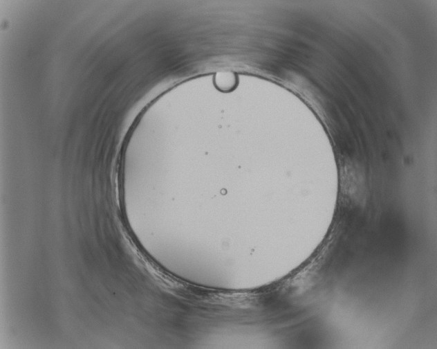 X0000068901150200605122053