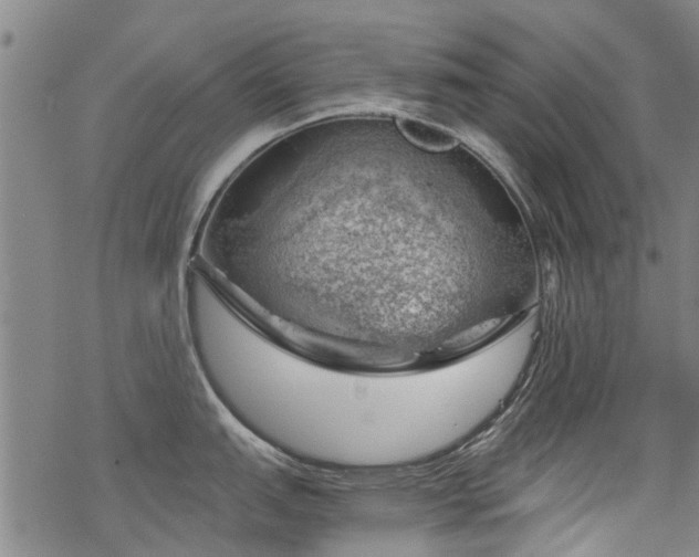 X0000068901151200605122053