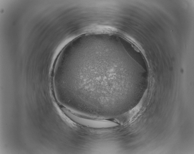 X0000068901152200605122053