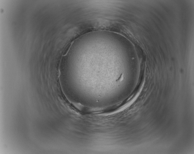 X0000068901153200605122053