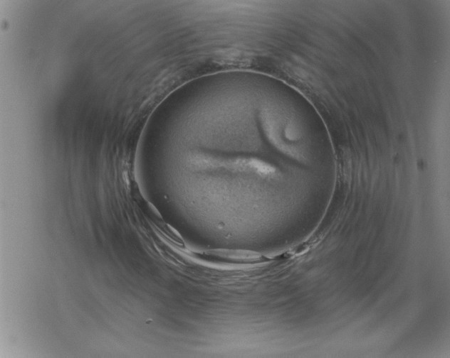 X0000068901154200605122053