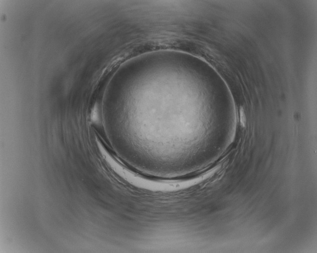 X0000068901155200605122053