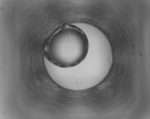 X0000068901156200605122053