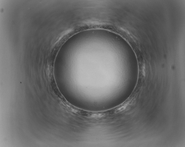 X0000068901157200605122052