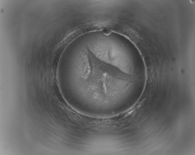 X0000068901158200605122052