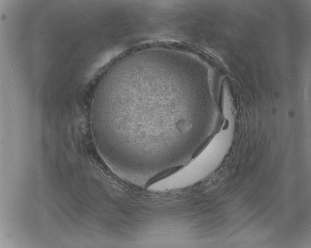 X0000068901159200605122052