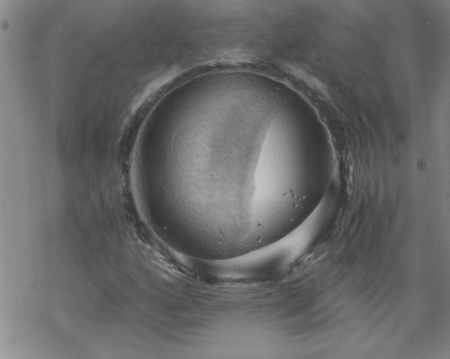 X0000068901160200605122052