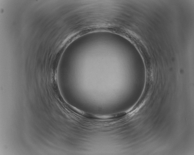 X0000068901161200605122052