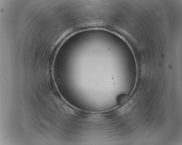 X0000068901162200605122052