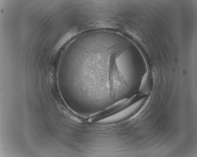 X0000068901163200605122052