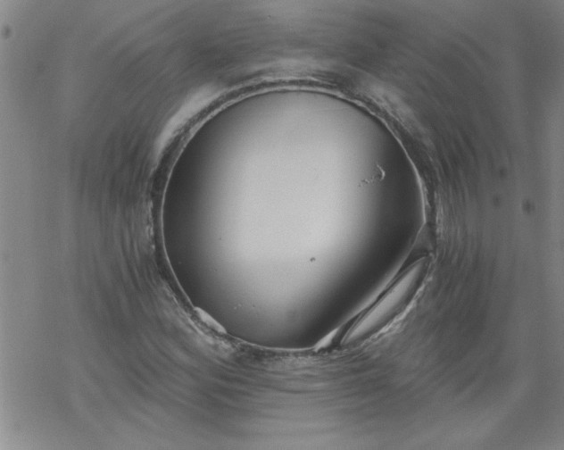 X0000068901164200605122052