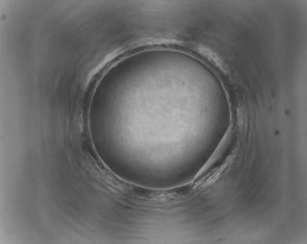 X0000068901165200605122052