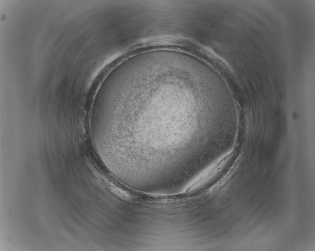 X0000068901166200605122052