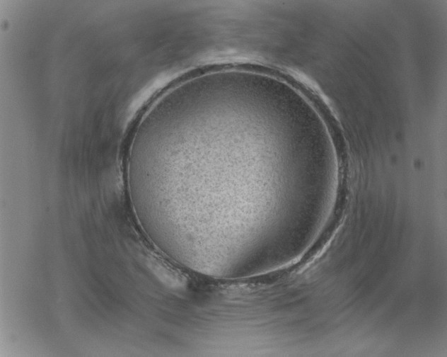 X0000068901167200605122052