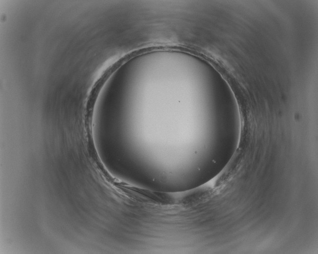 X0000068901168200605122052