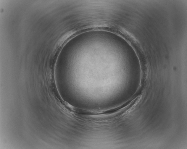 X0000068901169200605122052