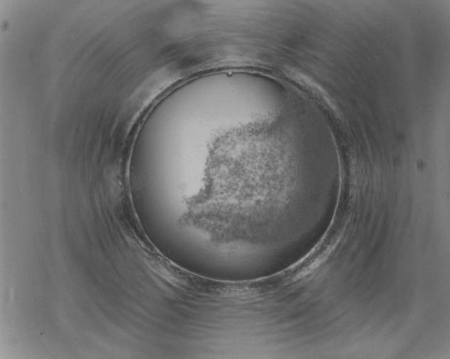 X0000068901170200605122052