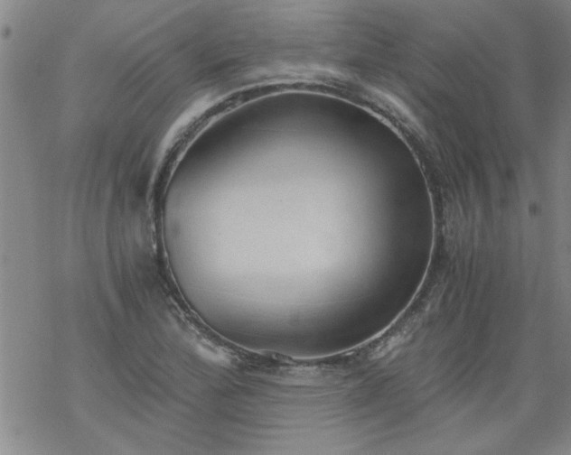 X0000068901172200605122052