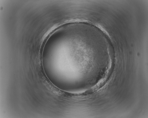 X0000068901173200605122052